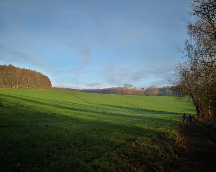 Waldgaststätte Meisenhof